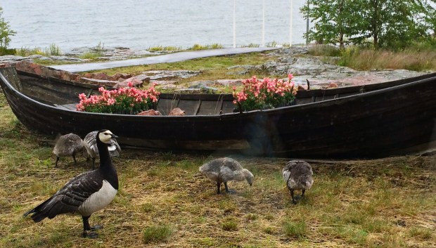 Väliaikaohjelmaa ikkunan läpi