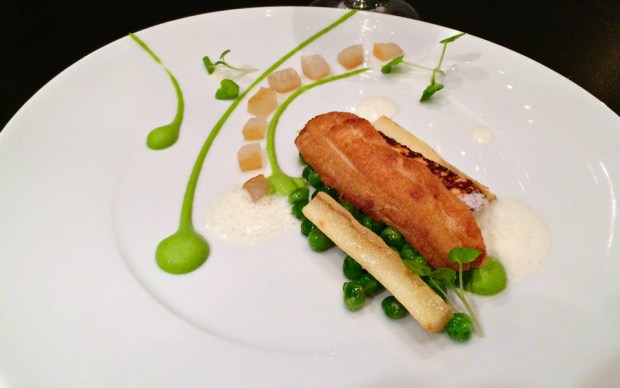 2014-11-06 19-37-32 IMG_4664_resize