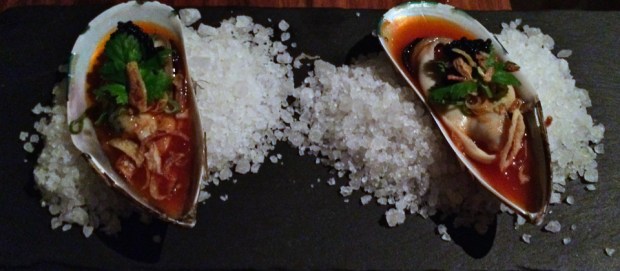 2014-12-03 17-25-05 IMG_4987_resize