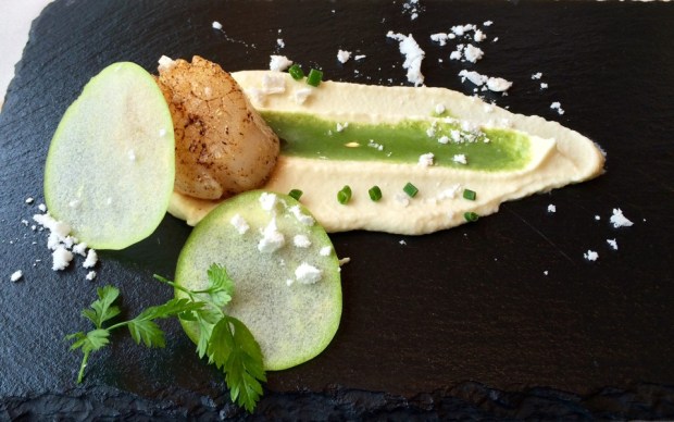 2015-04-19 12-23 IMG_7269.JPG