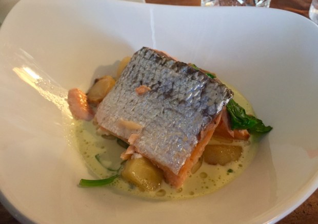 2015-06-15 12-23 IMG_0972.JPG