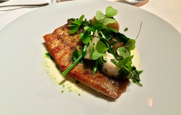 2015-06-15 17-57 IMG_1048.JPG