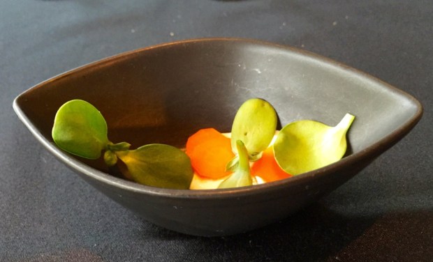 2015-08-05 18-51 IMG_2341.JPG