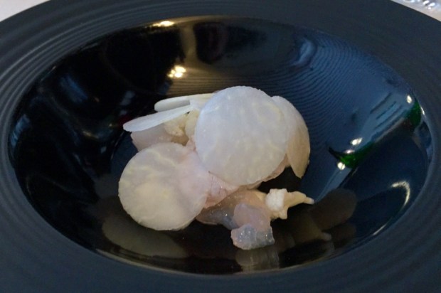 2015-08-08 18-46 IMG_2774.JPG