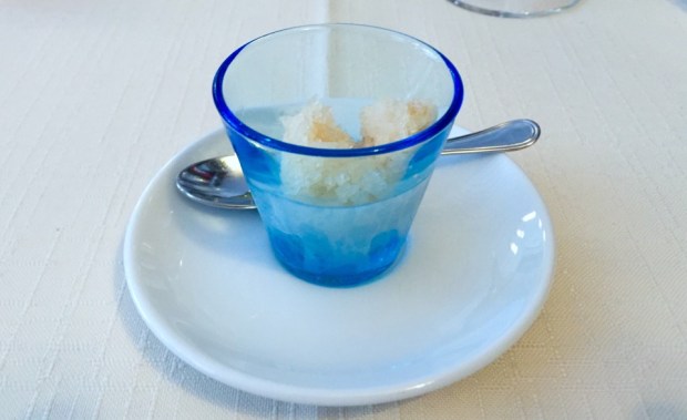 2015-08-08 19-11 IMG_2787.JPG