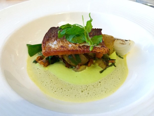 2015-08-08 19-18 IMG_2797.JPG