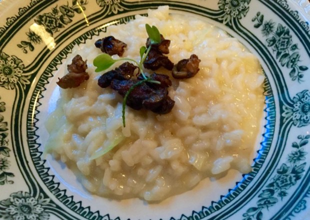 2015-08-27 20-50 IMG_3115.JPG