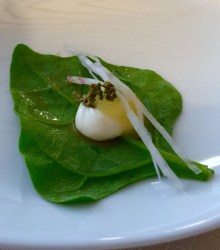 2016-08-08 18-40 IMG_2765.JPG