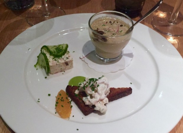 2015-11-12 17-10 IMG_4523.JPG