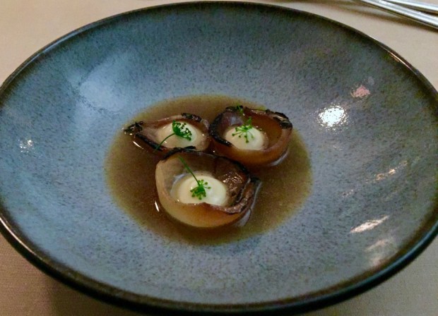 2016-02-23 19-12 IMG_6105.JPG