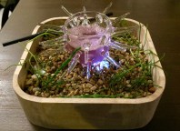 2016-03-12 19-39 IMG_6496.JPG