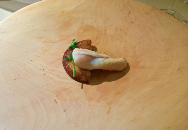 2016-04-14 20-56 IMG_6966.JPG