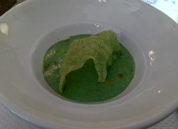 2016-05-24 17-05 IMG_8008.JPG