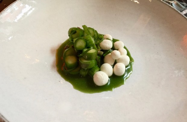 2016-05-25 18-37 IMG_8085.JPG