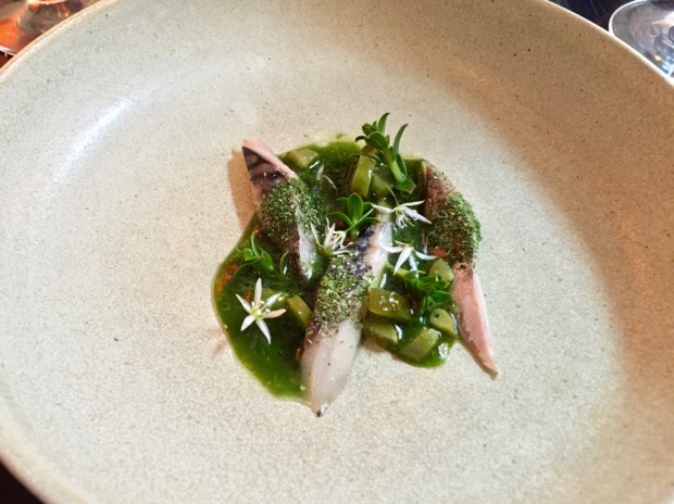 2016-05-25 19-07 IMG_8118.JPG