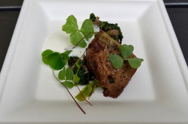 2016-06-17 13-08 IMG_8932.JPG