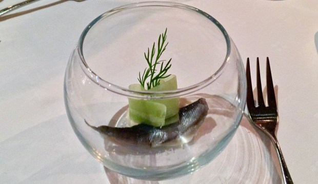 2016-06-18 17-20 IMG_8991.JPG