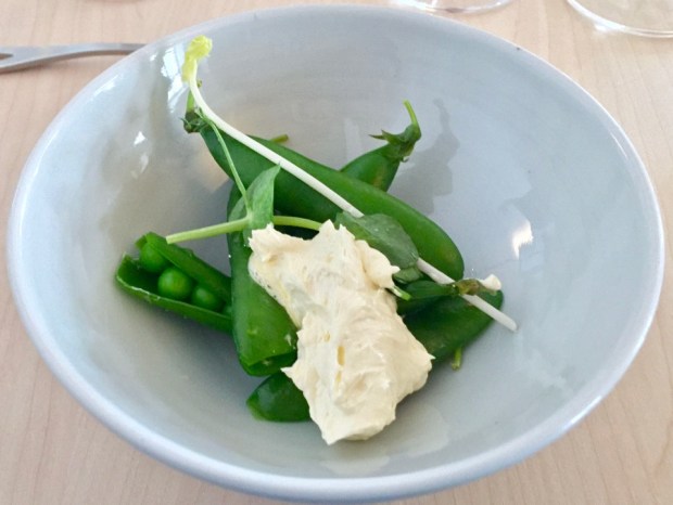 2016-07-04 18.40 IMG_9396.JPG