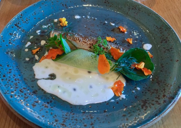 2016-08-02 16-53 IMG_0040.JPG