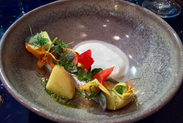 2016-08-03 21-24 IMG_0121.JPG