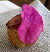 2016-08-04 18-44 IMG_0175.JPG