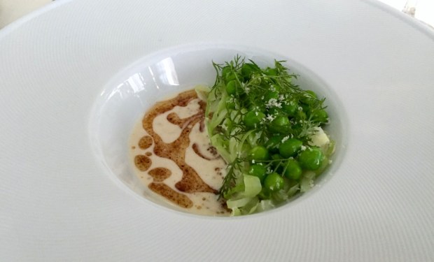 2016-08-04 18-57 IMG_0187.JPG