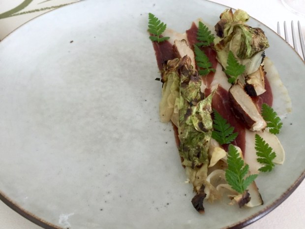 2016-08-04 19-12 IMG_0197.JPG