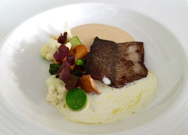 2016-08-04 19-32 IMG_0211.JPG