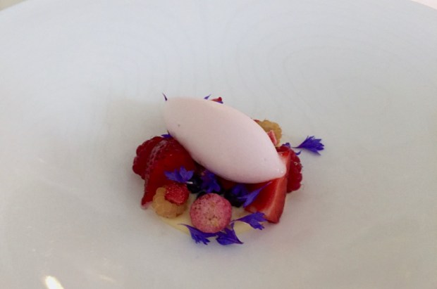 2016-08-04 20-32 IMG_0243.JPG