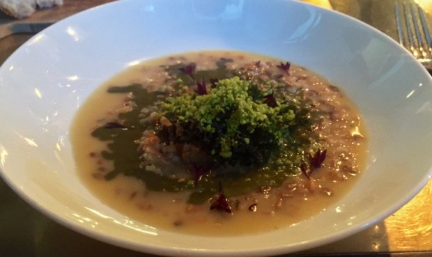 2016-08-09 19-38 IMG_0488.JPG