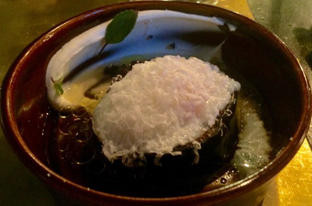 2016-08-09 20-41 IMG_0525.JPG