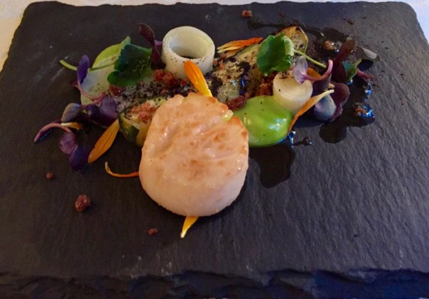 2016-09-10 20-02 IMG_1492.JPG