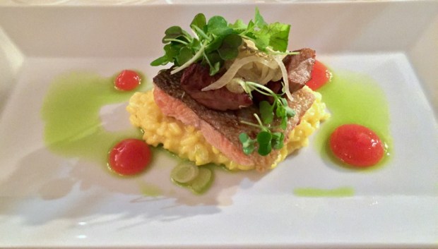 2016-09-10 21-00 IMG_1541.JPG