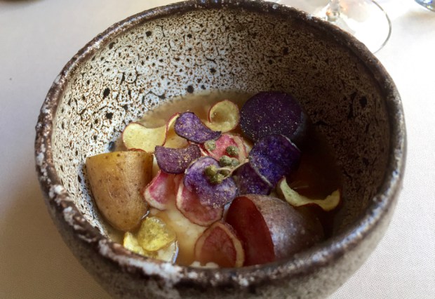 2017-02-10 12-53-37 IMG_3472.JPG