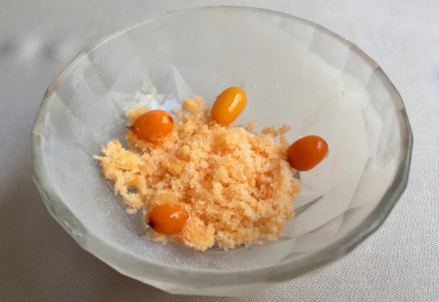 2017-02-10 13-32-49 IMG_3505.JPG