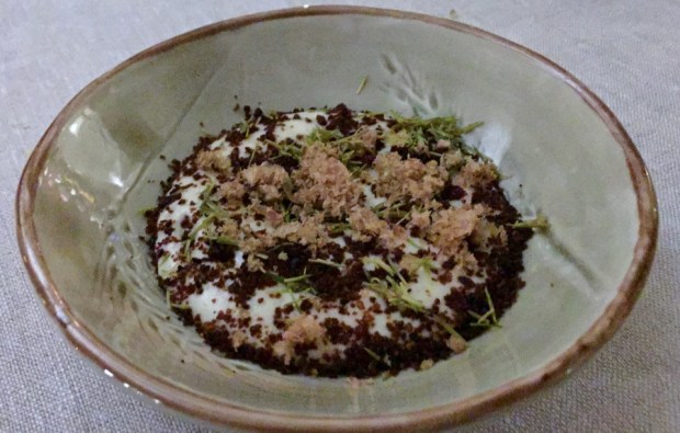 2017-02-11 18-59-09 IMG_3631.JPG