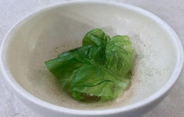 2017-02-11 19-28-41 IMG_3656.JPG