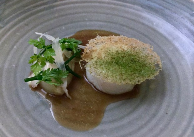 2017-02-11 20-21-05 IMG_3690.JPG