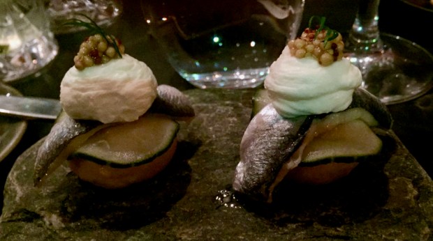 2017-02-16 18-48-13 IMG_3798.JPG