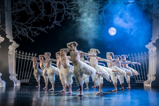 Matthew Bourne's Swan Lake. Edessä Will Bozier (The Swan). Kuva: Johan Persson.