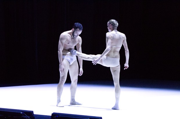 Jacopo Godani: Postgenoma. Kuva. Petri Laitinen.