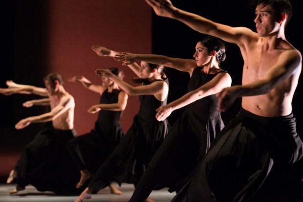 Khaash. Kuva: Frank Thibault.