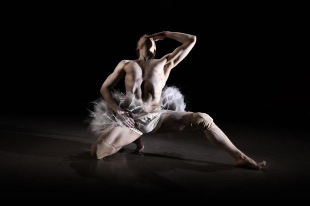 Suo tihkua vihreä tammi. Kuvassa Atte Kilpinen. Kuva: Mirkku Merimaa.