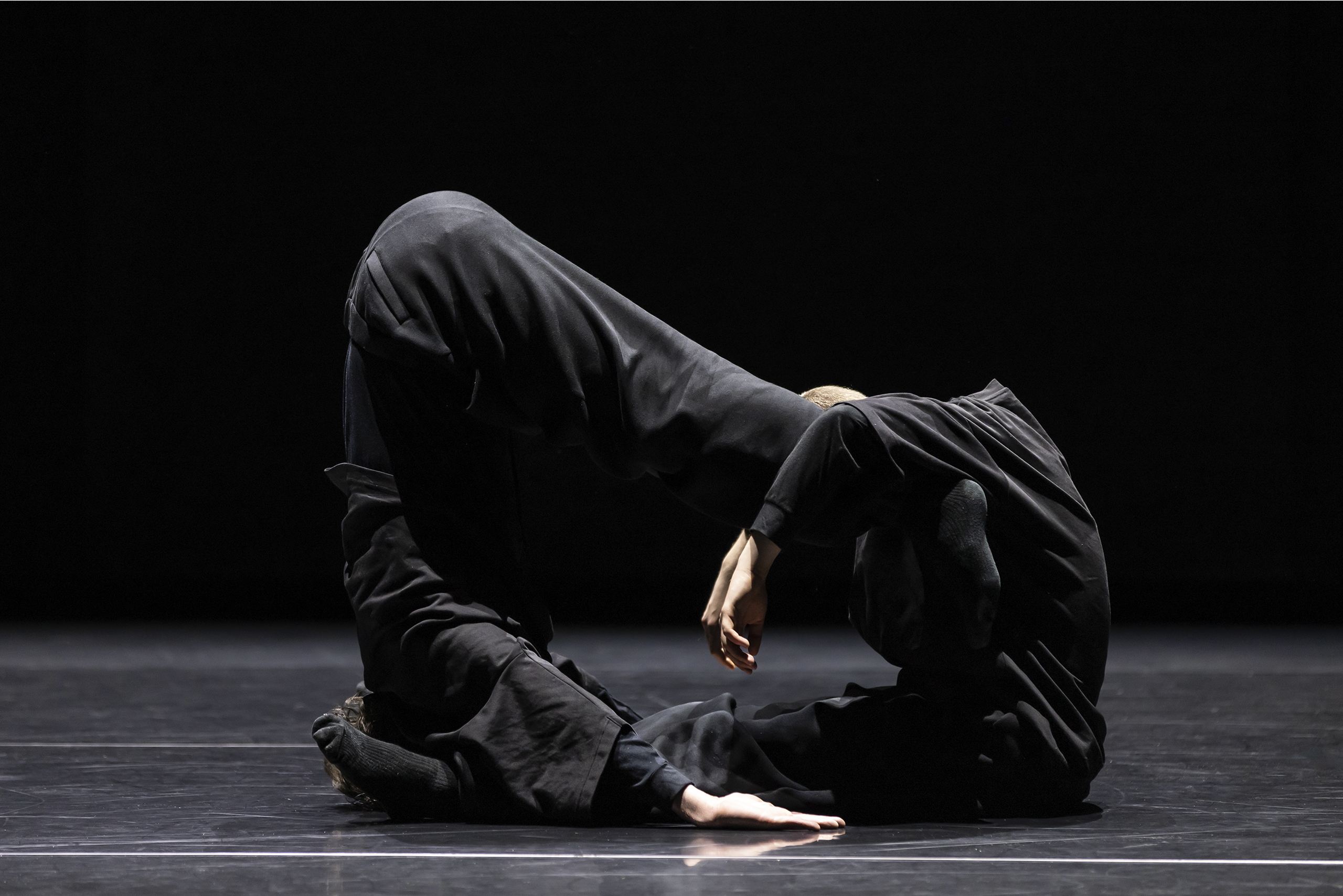 Aszure Barton: Sloth. Kuva: Jeanette Bak.